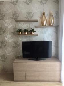 telewizor z płaskim ekranem siedzący na drewnianej szafce w obiekcie Zlatý Apartmán w mieście Dolní Morava