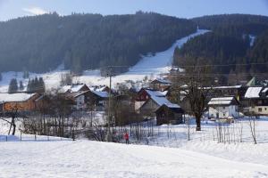 appartementen Haus Bergblick during the winter