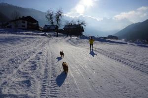 appartementen Haus Bergblick during the winter