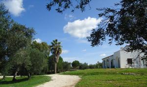 Zahrada ubytování Villa Elia - Tenuta Le Scerze - Salento Homes
