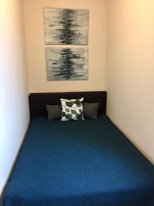 ドルニー・モラヴァにあるModrý Apartmánの小さなベッドルーム(青いベッド、枕付)