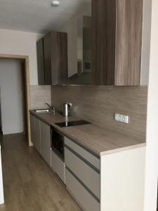 eine Küche mit einer Spüle und einer Arbeitsplatte in der Unterkunft Modrý Apartmán in Dolní Morava