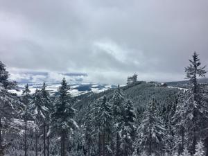 Príroda v okolí apartmánu