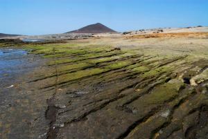 a rocky field with a mountain in the background at Casa Rural Anton Piche in Granadilla de Abona