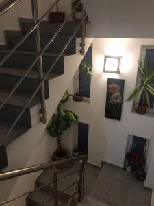 Fotografie z fotogalerie ubytování Casa Ghetu Fundeni v Bukurešti