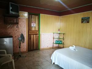 a bedroom with a bed and a television in a room at Hospedaje Las Orquídeas in Venecia +3 photos