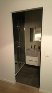 uma casa de banho com um chuveiro, um lavatório e um espelho. em Sam Le Lezard Sarl em Nice