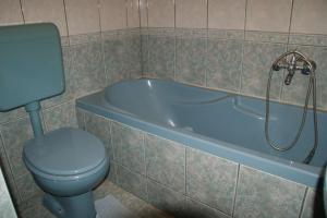 a bathroom with a toilet and a bath tub with a toilet at Holiday Home Smiljan in Gospić +17 photos