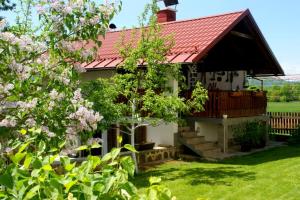 a small house with a red roof in a yard at Holiday Home Smiljan in Gospić