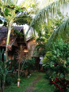 a garden with palm trees and a house at Reggae Guesthouse in Panglao Island