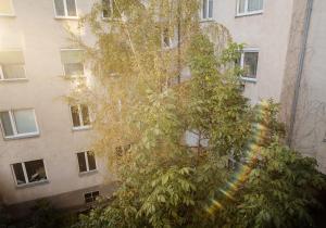 Zdjęcie z galerii obiektu Senator Flats w Wiedniu