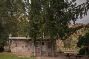 un pequeño edificio de piedra con una mesa de picnic y un árbol en Bosque Divino Cabañas & Suites en Valle Grande