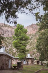 a pine tree in front of a mountain at Bosque Divino Cabañas & Suites in Valle Grande