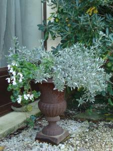 Jardin de l'établissement La Guéritaulde