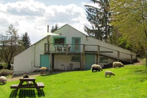 マルシュ・アン・ファメンヌにあるHarry's Placeの家の前の畑の羊の群れ
