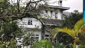 a white house with a tree in front of it at De Daisy Villa Homestay in Da Lat
