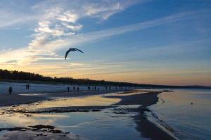 トラッセンハイデにあるFewo Tonis Strandidyllの凧揚げの海上人