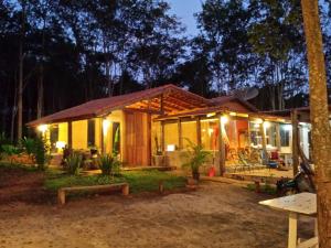 德尔菲诺波利斯Casa da Barra Delfinopolis的夜晚的树林里的房子