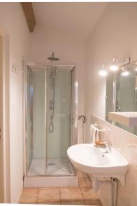 a white bathroom with a shower and a sink at La Bribaudonnière in Saint-Palais-de-Phiolin