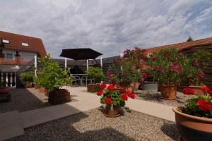 Ein Garten an der Unterkunft Tuniberg Restaurant Hotel