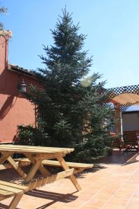 a picnic table in front of a pine tree at Casa Rural EL PINSAPO in Ronda