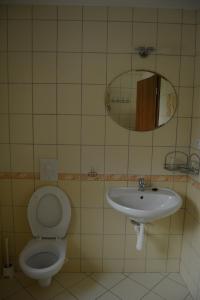 a bathroom with a toilet and a sink at Ubytování U Dvořáků in Veselí nad Lužnicí +25 photos