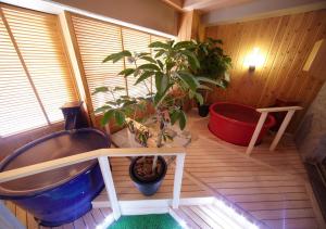 uma casa de banho com banheira e vasos de plantas em Dormy Inn Hiroshima em Hiroshima