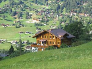 une maison sur le flanc d'une colline dans l'établissement Chalet Studen, à Grindelwald
