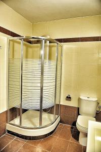 a bathroom with a shower and a toilet at Villa Eleana in Psakoudia +8 photos