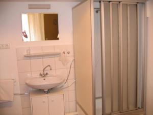 ein Bad mit einem Waschbecken, einem Spiegel und einer Dusche in der Unterkunft Eintracht Hotel in Bad Wildbad