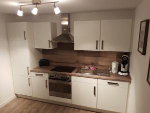 Kuchyň nebo kuchyňský kout v ubytování Ferienwohnung am Modenbach