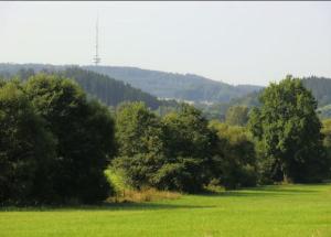 un champ d'herbe verte avec des arbres en arrière-plan dans l'établissement Ferienwohnung Angelburg - Marburg Biedenkopf mit Balkon und Badewanne, à Gönnern