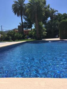 a large blue swimming pool with palm trees in the background at Casa Alestelou in Tormos