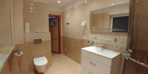 een badkamer met een toilet, een wastafel en een spiegel bij Apartments in Villa Barbara in Świeradów-Zdrój