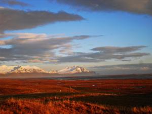 Gallery image of Guesthouse Nypugardar in Höfn