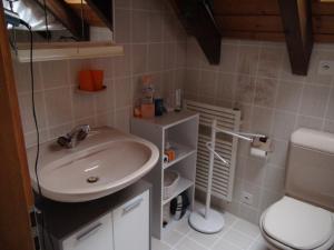 a bathroom with a sink and a toilet at Freihof Embrach in Embrach