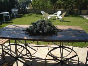 A garden outside Iron House