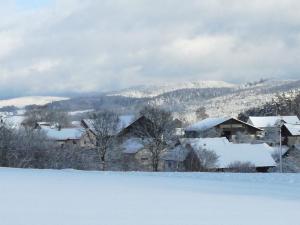 Gasthaus Zur Waldesruh v zimě