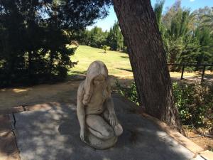 Ogród w obiekcie Hacienda Los Jinetes