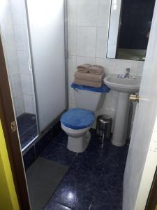 Koupelna v ubytování Hotel Aymara