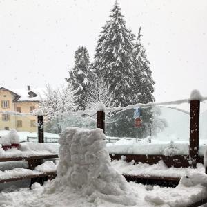 Albergo Alpenrose Ski&Bike Mountain Hotel v zimě