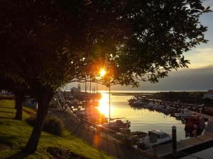 Naturlandskabet i nærheden af feriehuset