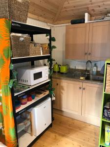 una cocina con horno microondas en un estante en Crabapple Cottage B&B, en Lewes