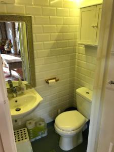 a bathroom with a toilet and a sink and a mirror at Crabapple Cottage B&B in Lewes