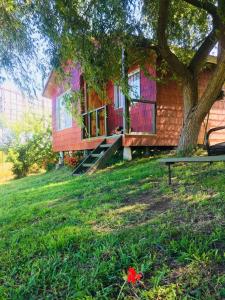 ein Haus mit einem Baum und einer Bank im Gras in der Unterkunft Cabaña Vista al Lago in Llanquihue