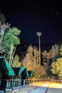 Foto sihtkohas Chail asuva majutusasutuse Jungle Stays galeriist