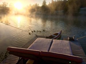 un quai avec un bateau et des canards dans l'eau dans l'établissement LACabane Lodge Nature, à Saint-Vivien