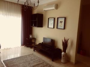 a living room with a tv and a vase with a plant at Anastasia Apartments in Kargicak