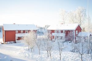 Helsingegården semasa musim sejuk