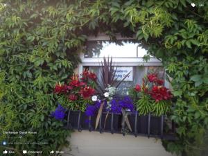 a window with a bunch of flowers on a balcony at Clayhanger Guest House in Newcastle under Lyme